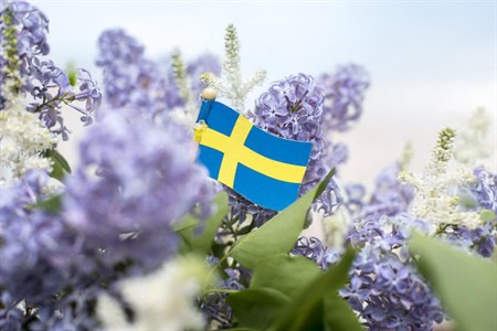 Kristi himmelsfärd och Nationaldagen