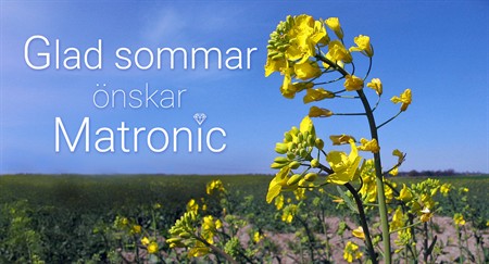 Sommarhälsning från oss!